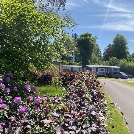 Callander Woods Holiday Park エクステリア 写真
